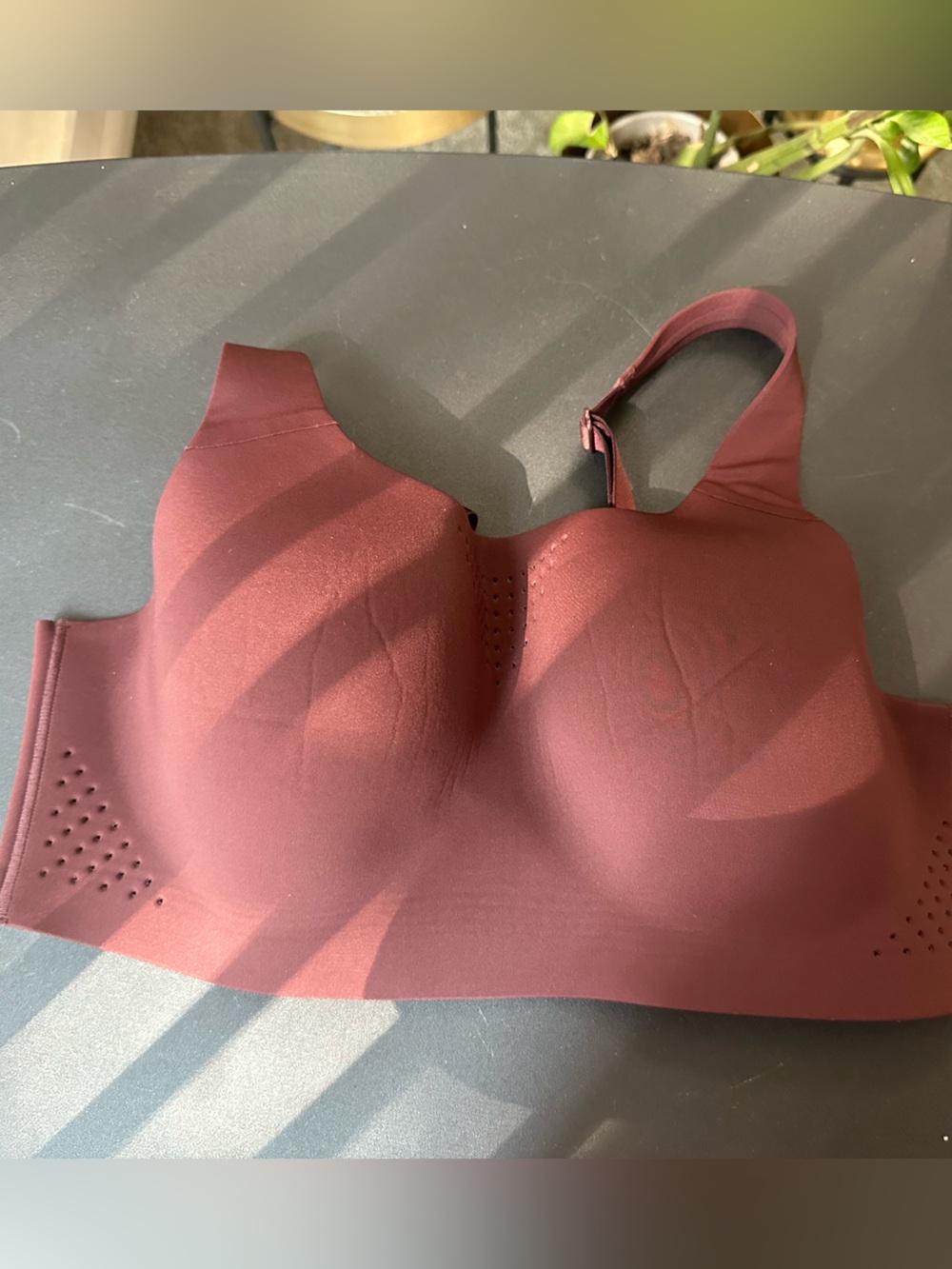 Seamless Wireless Molded Cup Bra in Burgundy
